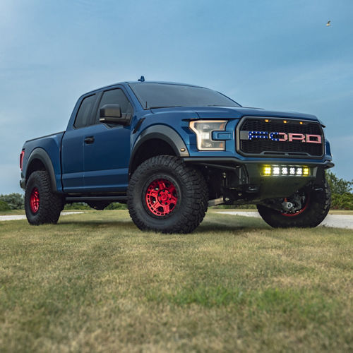 2019 Ford F150 Raptor