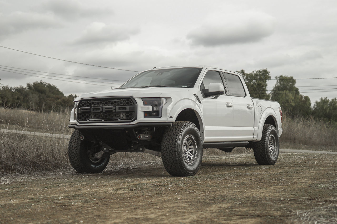 2019 Ford F150 Raptor - Fuel SYNDICATE - Gray | Wheel Pros