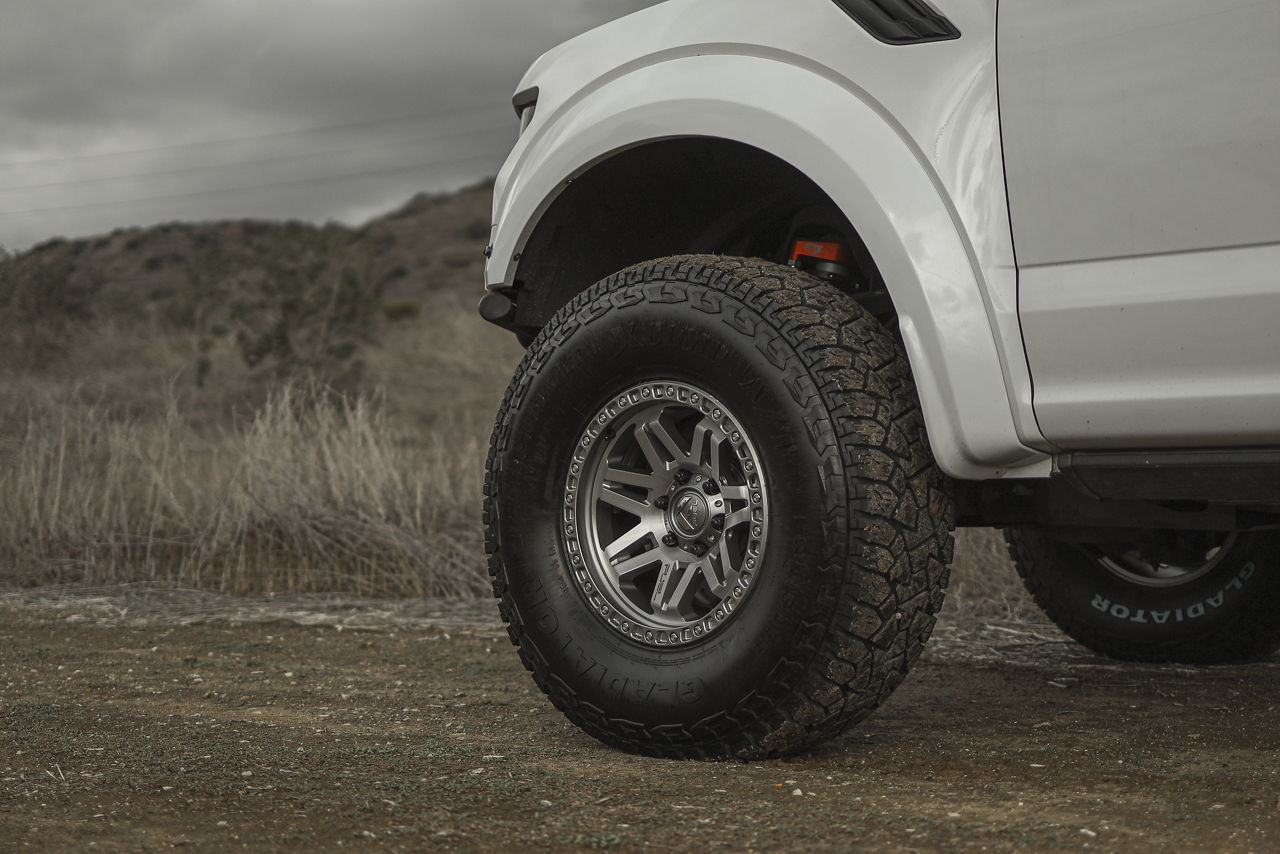 2019 Ford F150 Raptor
