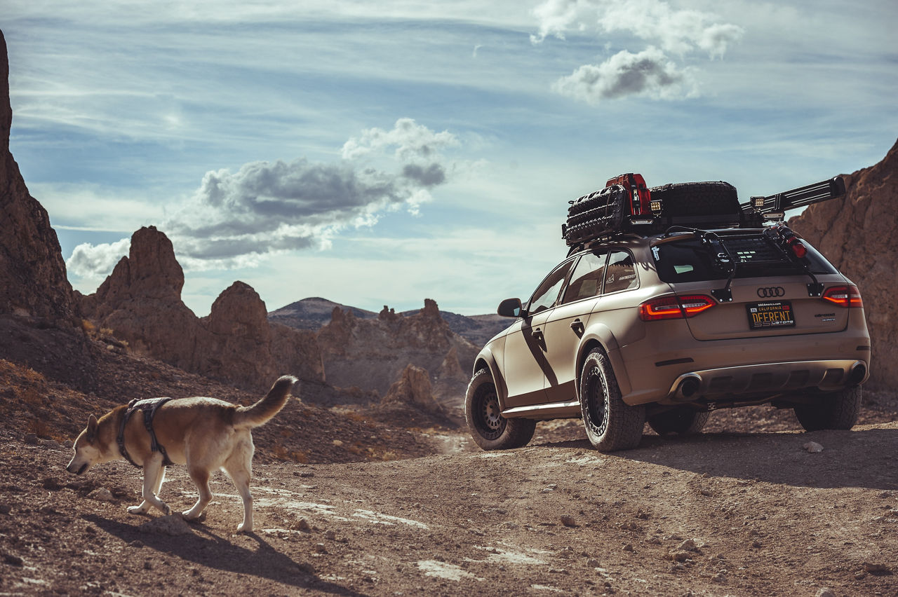 2019 Audi Allroad