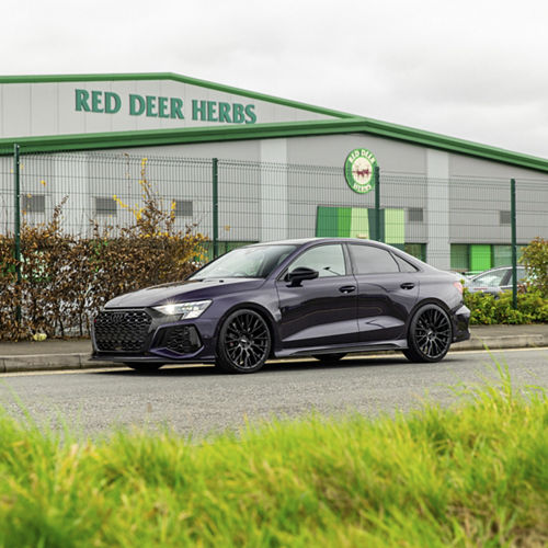 2023 Audi RS3