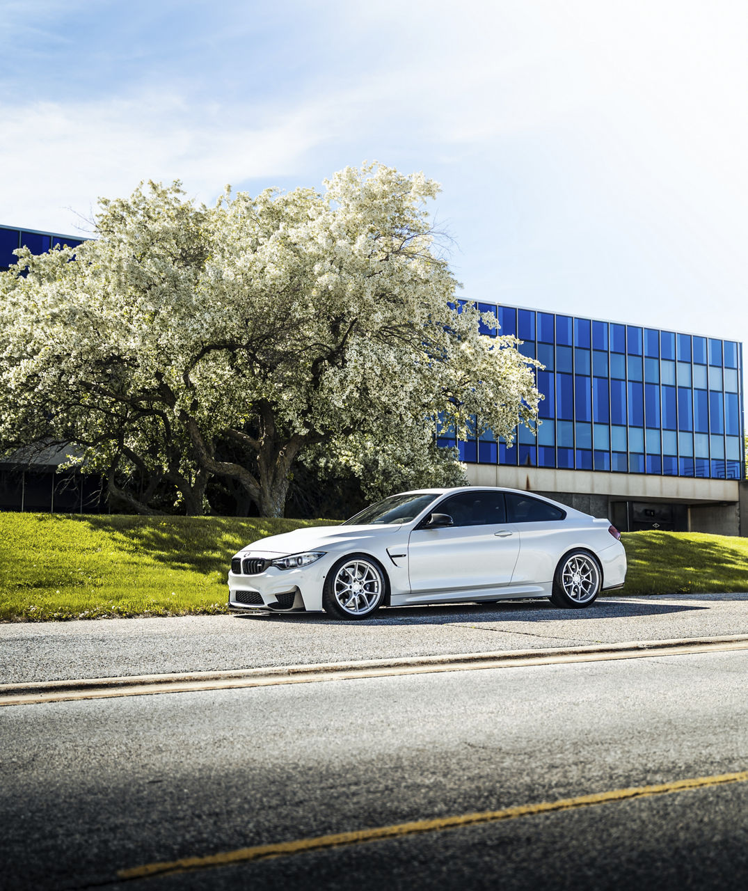 2015 BMW M4