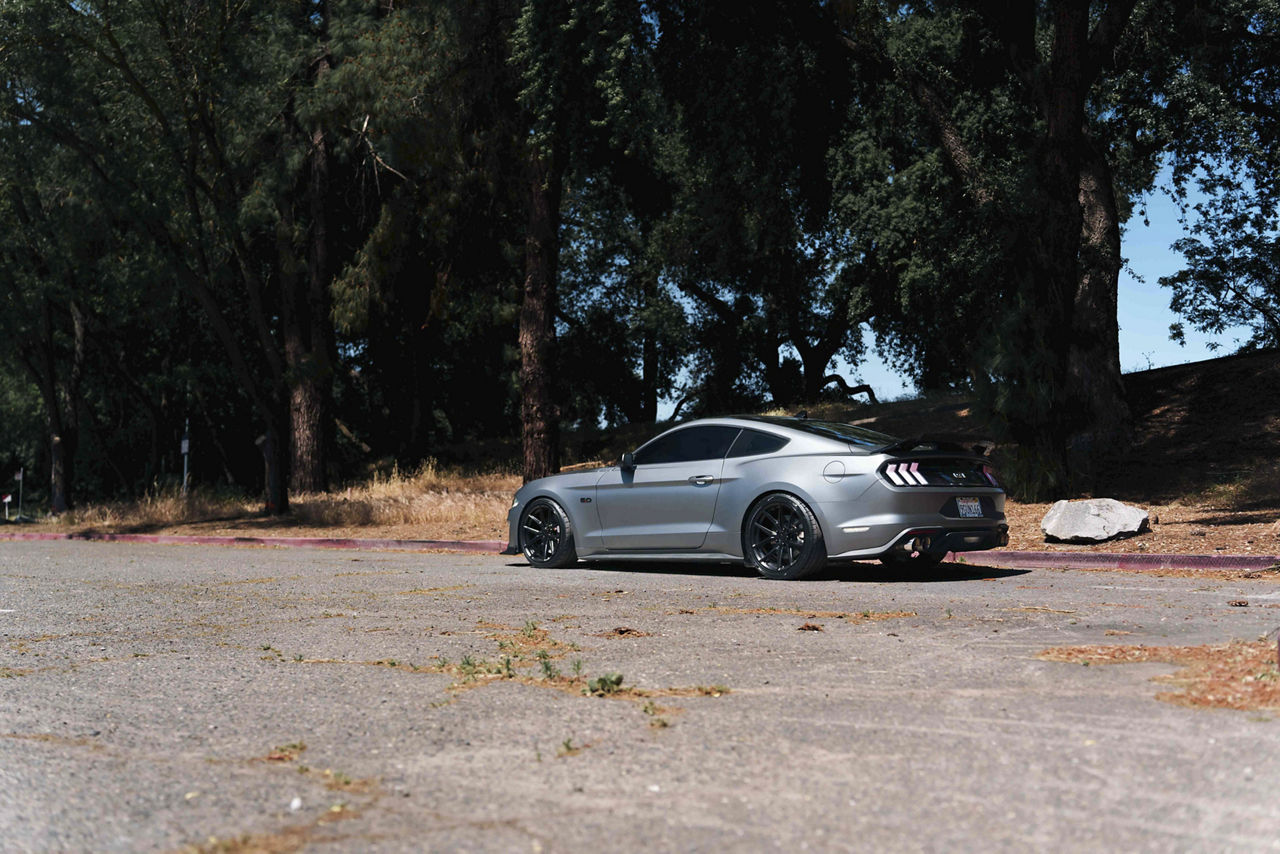 2019 Ford Mustang