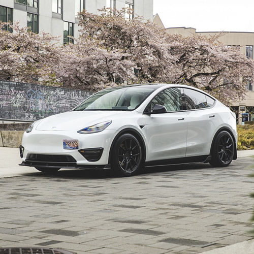 2019 Tesla Model Y