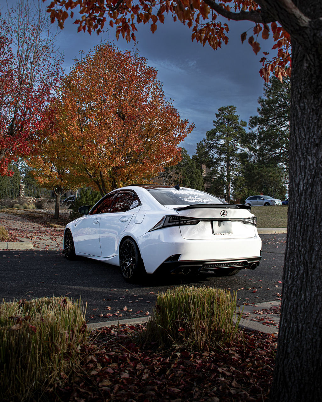 2020 Lexus IS