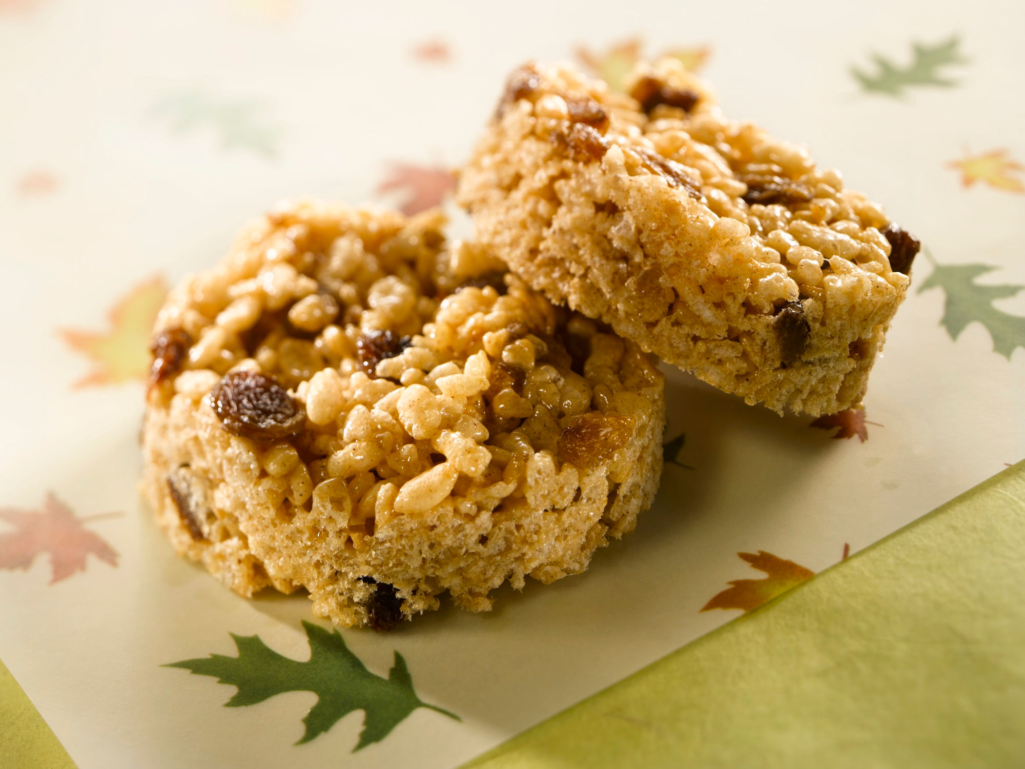 Spicy Raisin Squares