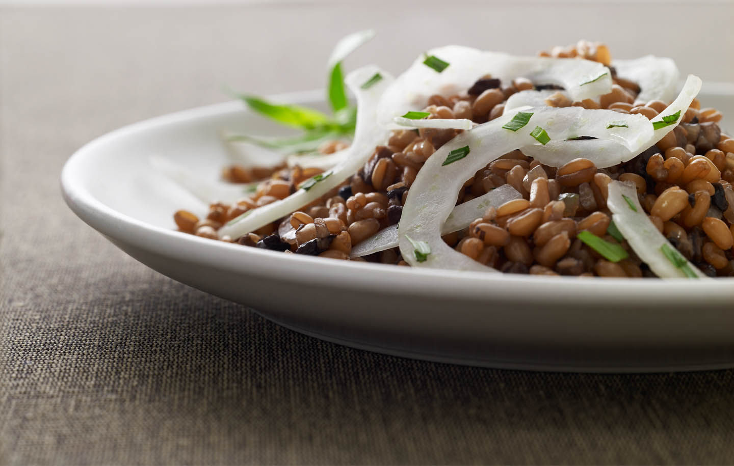 Mushroom Wheat Berry Salad Recipe