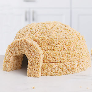 Igloo